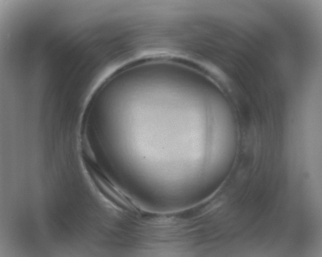 X0000062891279200601131325