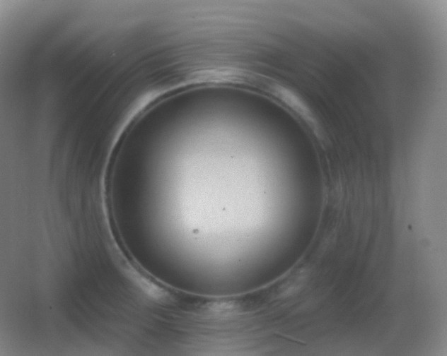 X0000062891283200601131325