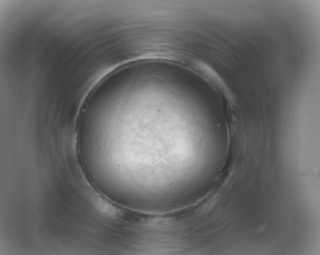 X0000062891284200601131325