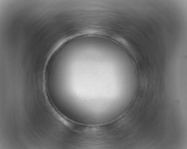 X0000062891286200601131325