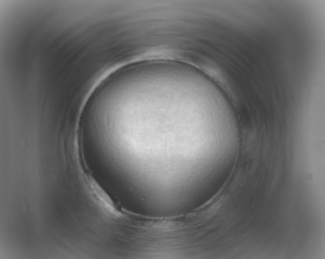 X0000062891288200601131325