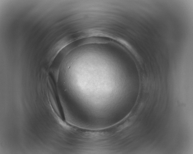 X0000062891289200601131325