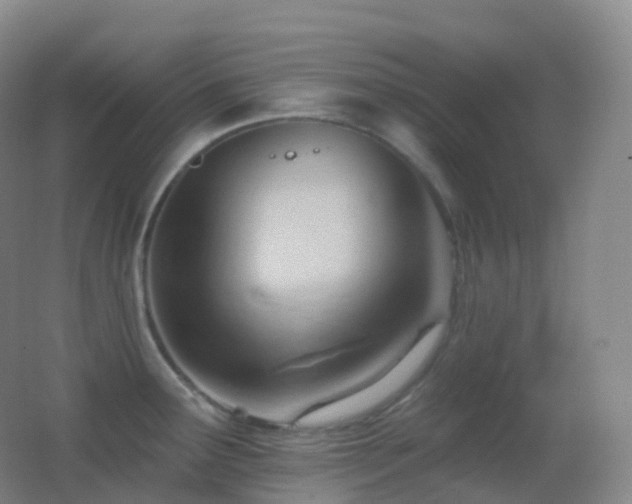X0000062891291200601131325
