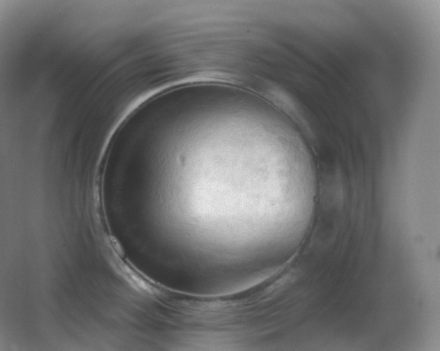 X0000062891292200601131325