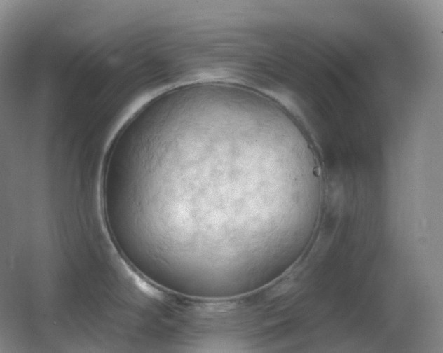 X0000062891294200601131325