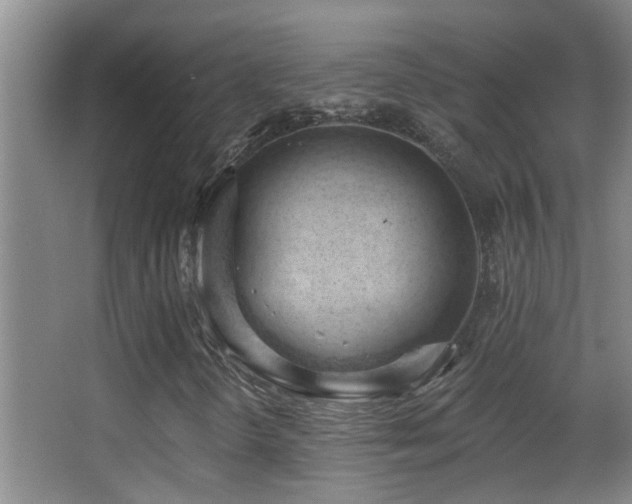 X0000062891298200601131324