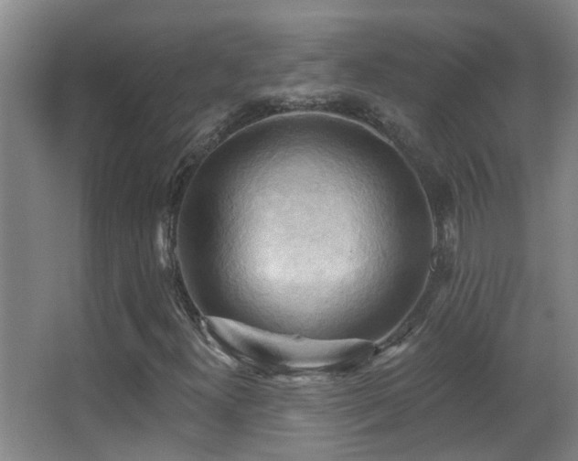 X0000062891300200601131324