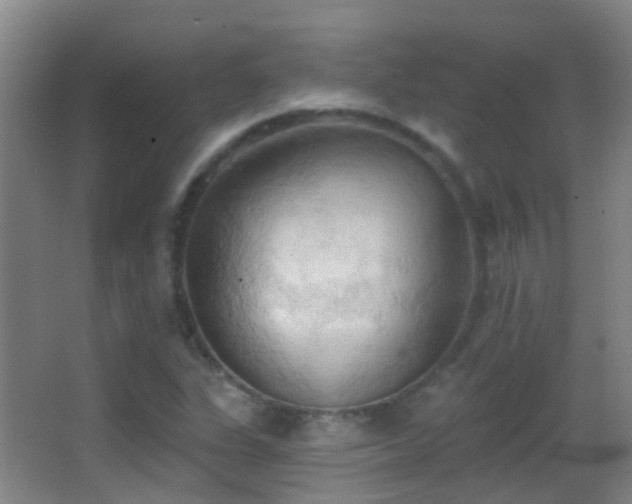 X0000062891311200601131324