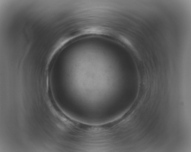 X0000062891323200601131324
