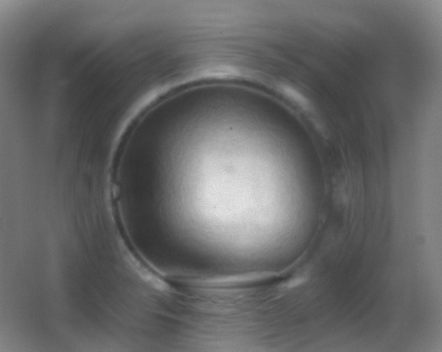X0000062891326200601131324