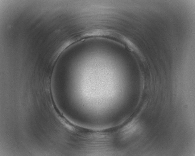 X0000062891329200601131324