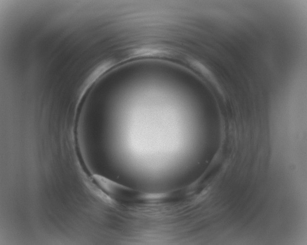 X0000062891330200601131324