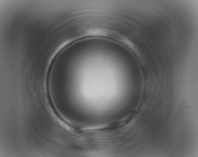 X0000062891331200601131324