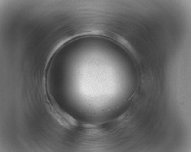X0000062891332200601131324