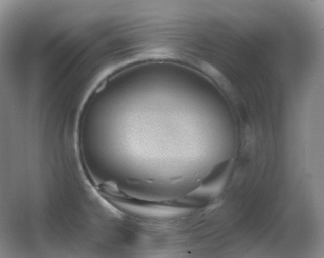 X0000062891334200601131324