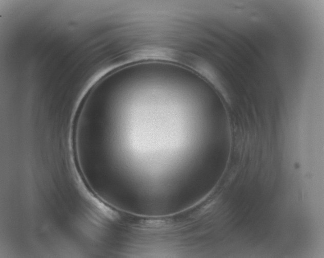 X0000062891339200601131324