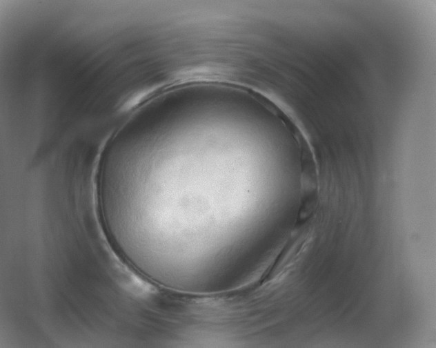 X0000062891341200601131325