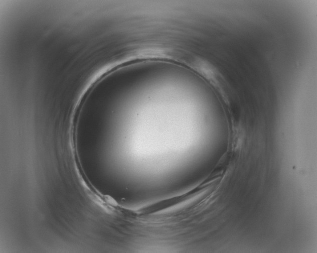 X0000062891342200601131325