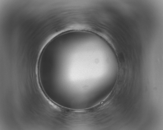 X0000062891343200601131325