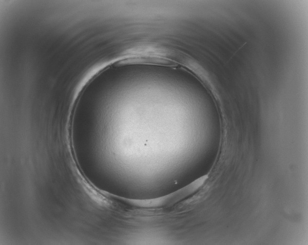 X0000062891344200601131325