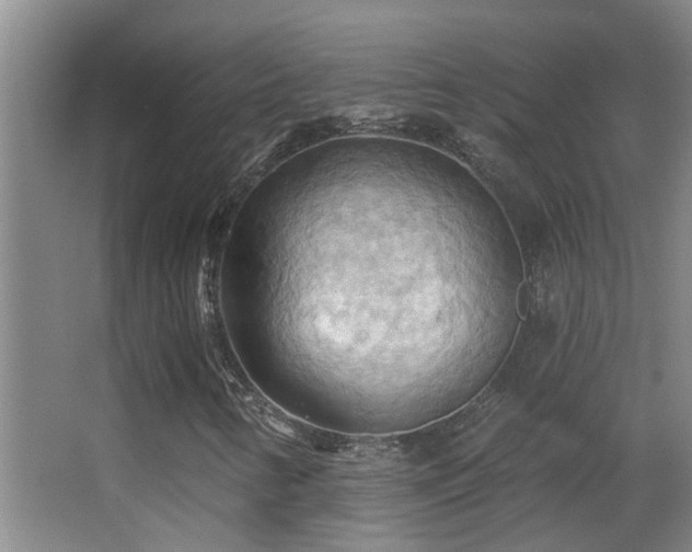 X0000062891346200601131324