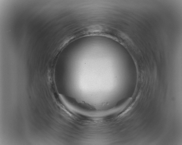 X0000062891353200601131324