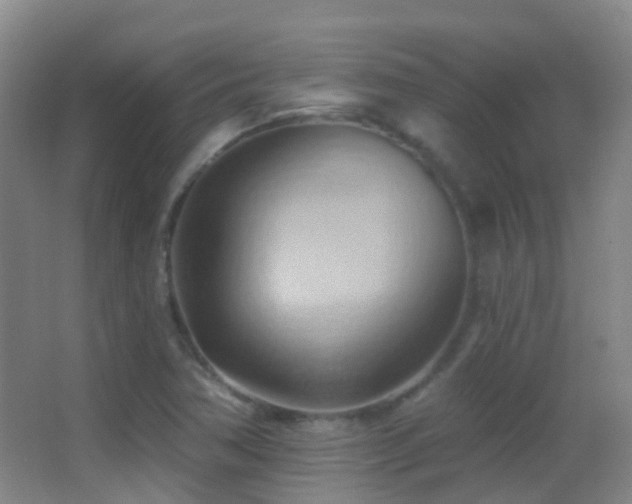 X0000062891362200601131323