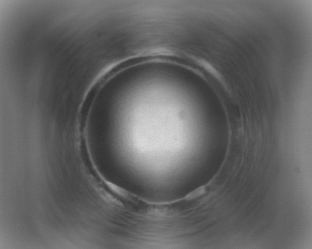 X0000062891364200601131323