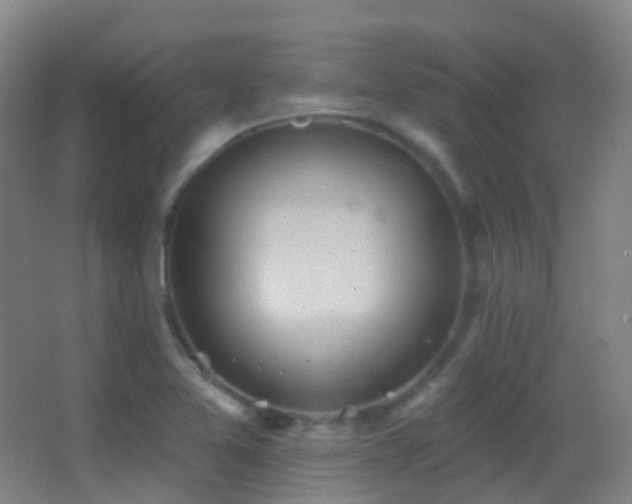 X0000062891365200601131323