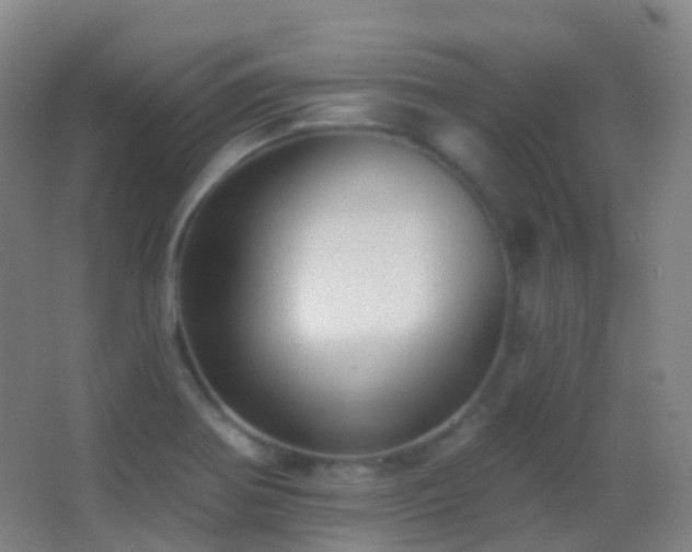 X0000062891370200601131323
