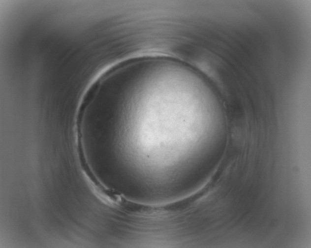X0000062891372200601131323