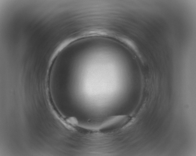 X0000062891373200601131323
