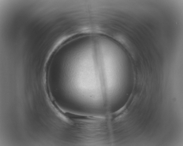 X0000062891376200601131323
