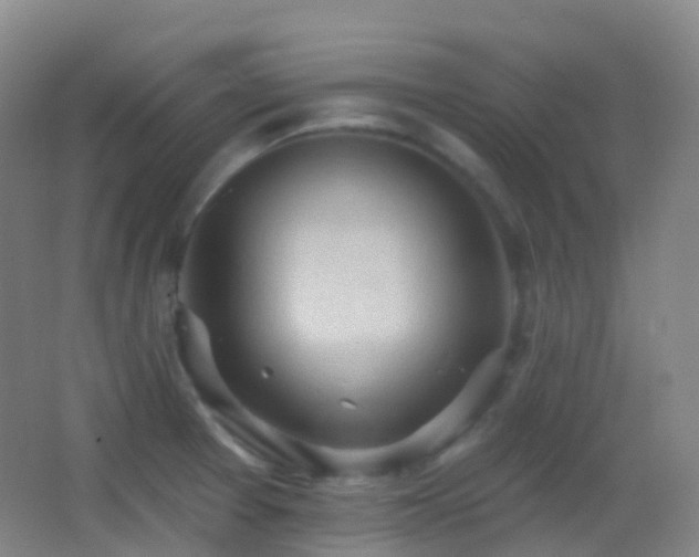 X0000062891377200601131323