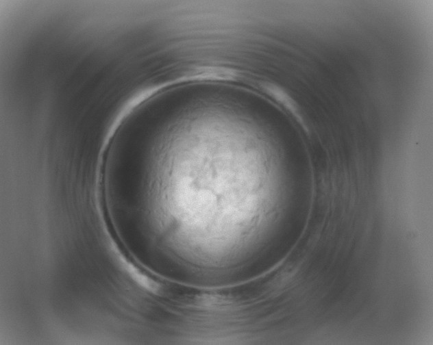 X0000062891379200601131323