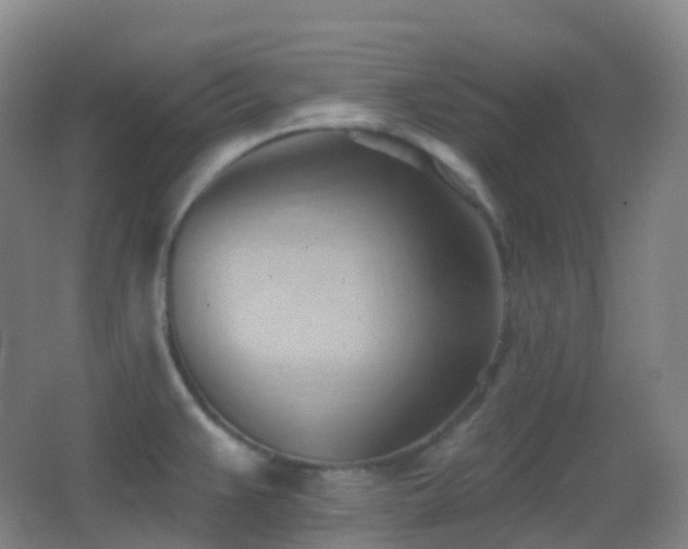 X0000062891383200601131323