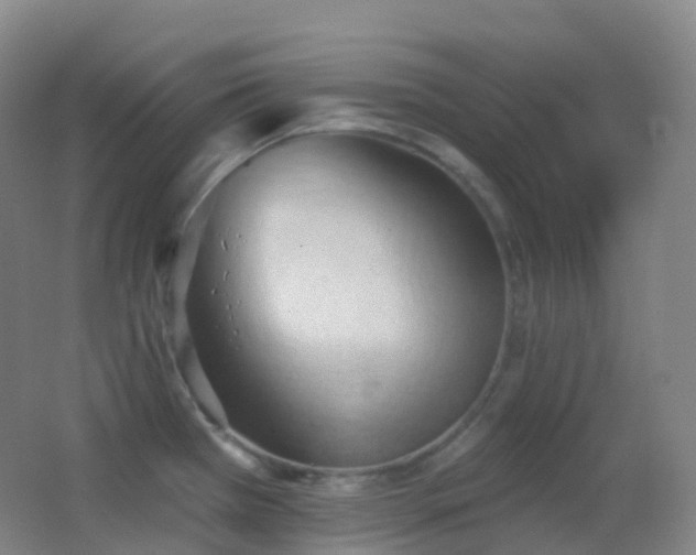 X0000062891385200601131323