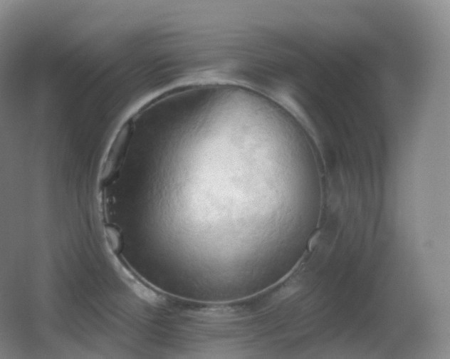 X0000062891388200601131323