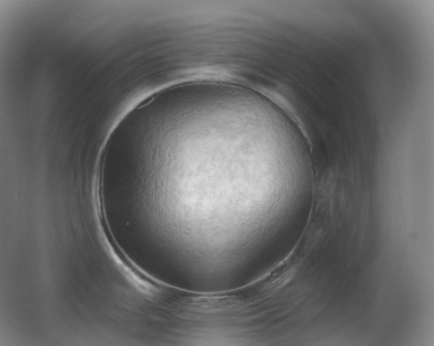 X0000062891391200601131323