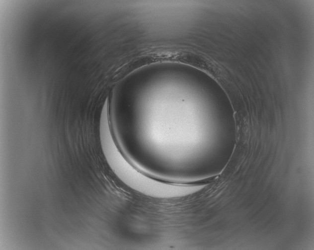 X0000062891394200601131322