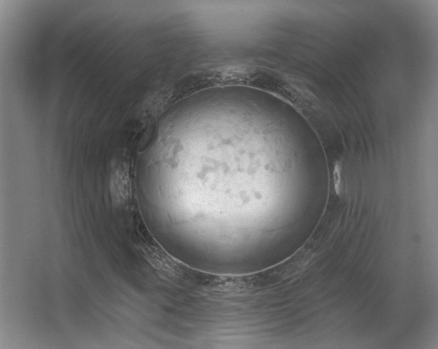 X0000062891395200601131322