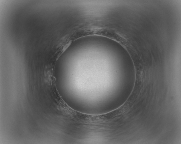 X0000062891397200601131322