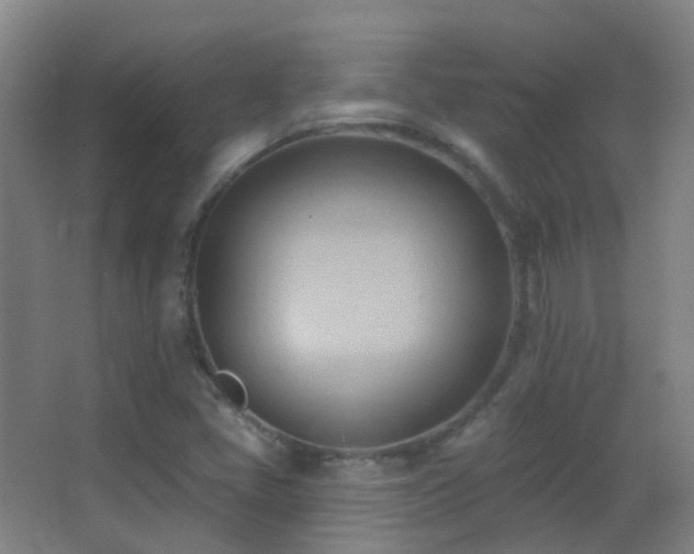 X0000062891405200601131322