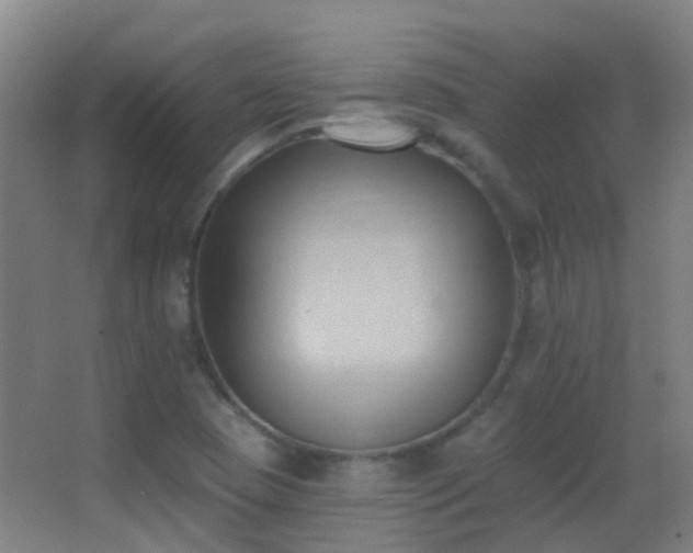 X0000062891409200601131322