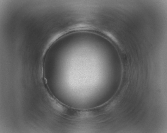 X0000062891413200601131322