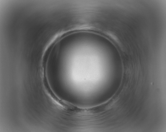 X0000062891414200601131323