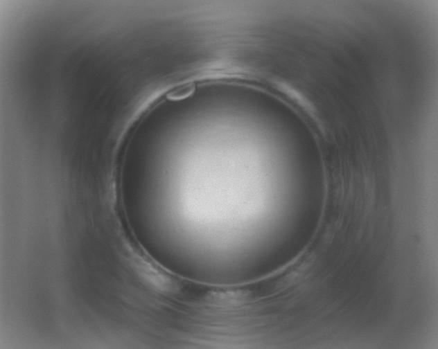 X0000062891415200601131323