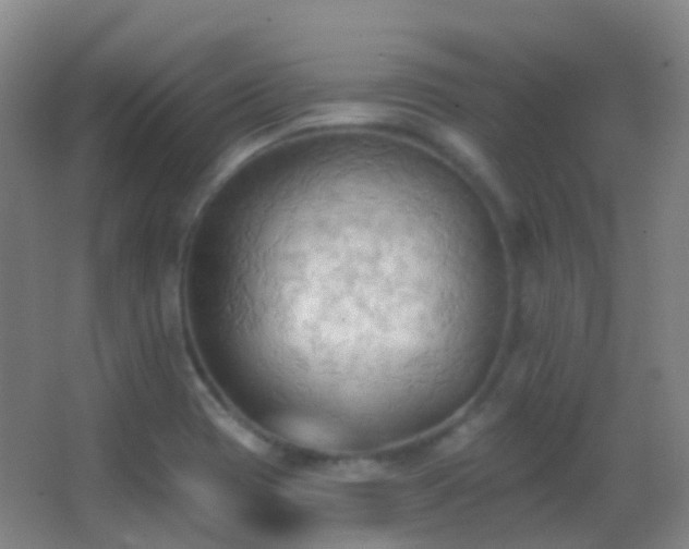 X0000062891417200601131323