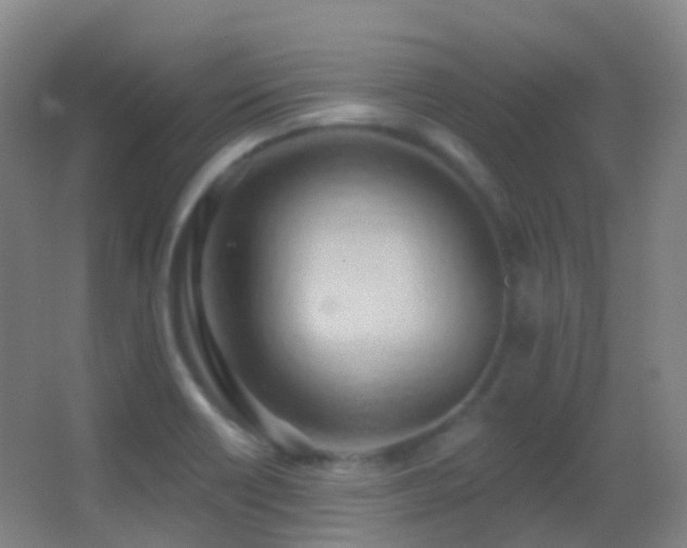 X0000062891418200601131323