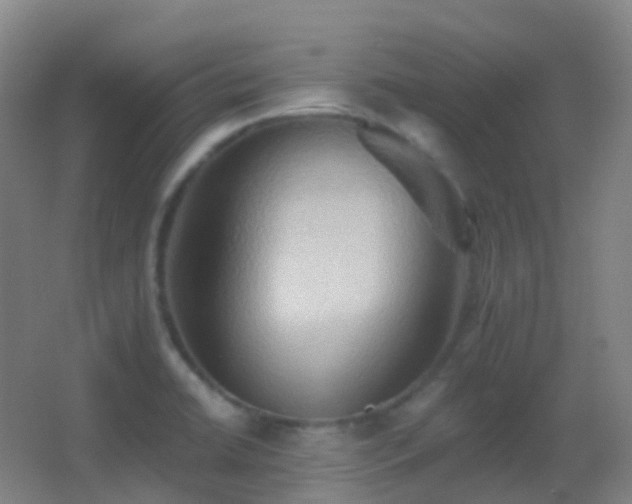 X0000062891422200601131323